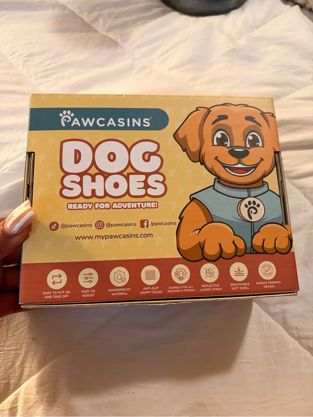 Dog Shoes